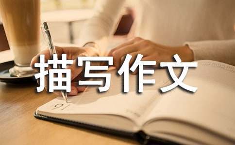 篮球周期训练计划内容有哪些_1