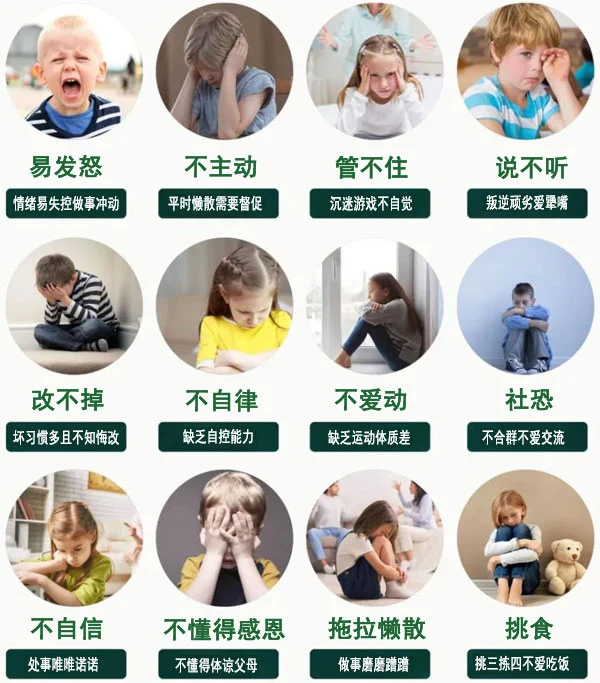 青少年篮球运动员体能训练特征包括_2